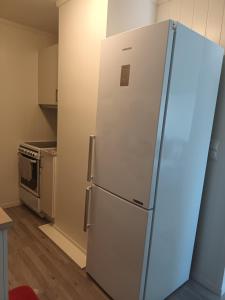 特罗姆瑟Olgas apartment的厨房配有冰箱和炉灶。