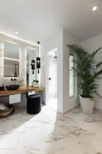 纳克索乔拉Olvos Suite的一间带梳妆台和盆栽的浴室