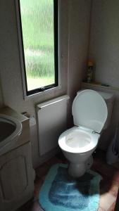 Zlatá KorunaMobilhome Camping Paradijs的一间带卫生间、水槽和窗户的浴室