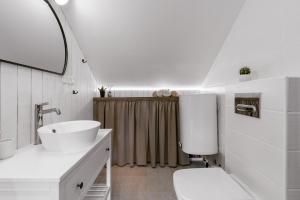 哈普萨卢Lapmanni Studios的一间带水槽、卫生间和镜子的浴室