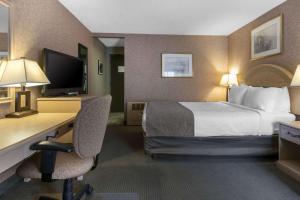 梅迪辛哈特Flamingo Hotel的酒店客房配有一张床和一张带电脑的书桌