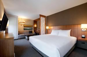 兀兰休斯顿/兀兰凯悦广场酒店的酒店客房设有一张大床和一间客厅。