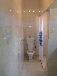贝宁城Charming 2-Bed Cottage in Benin City的一间带卫生间和玻璃淋浴间的浴室