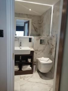 哈罗The Tudor Hotel的一间带水槽、卫生间和镜子的浴室
