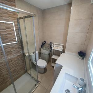 拉皮内达EL PISET的带淋浴、卫生间和盥洗盆的浴室