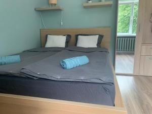 奥格雷Studio tipa dzīvoklis Ogrē的一张大床,上面有蓝色的枕头