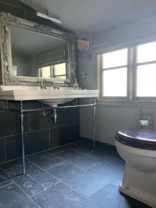 LlandeglaFaraway Follies的一间带卫生间、水槽和镜子的浴室