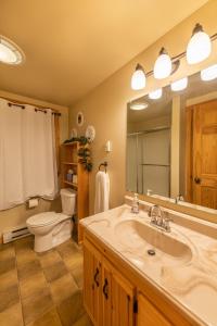 ReedsvilleCreekside Hideaway的一间带水槽、卫生间和镜子的浴室