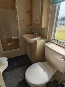 达农30 Glenfinart Caravan Park的一间带卫生间和水槽的小浴室