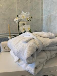 帕尔马Casa di Alice的浴室的台面上摆放着一堆毛巾