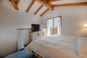 圣马蒂诺-迪卡斯特罗扎Hotel Stalon Alpine Chic的一间卧室设有一张床、一台电视和一个窗口。
