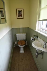 KentSHEPHERDS HUT的一间带卫生间和水槽的浴室