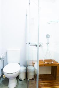 特拉维夫沙尔玛公寓的一间带卫生间和玻璃淋浴间的浴室