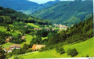 塞埃巴克Fuchsmichelhof 2的山谷中的一个小村庄,有绿色的山丘