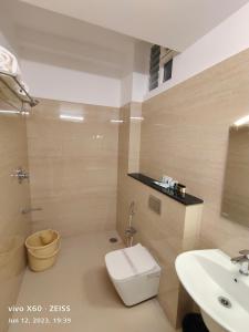 ChittoorRAJA MAHAL的一间带卫生间和水槽的浴室