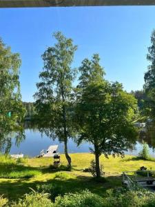 萨翁林纳Huvila Kyrönniemi的两棵树和长凳的湖景