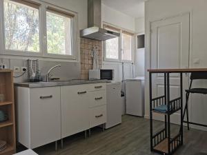 滨海拉塞讷lili的厨房配有白色橱柜和水槽