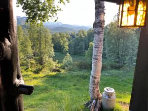 沃斯Voss Waterfalls - Norway Mountain Cabin & Traveller Award Winner!的享有田野景致的窗户