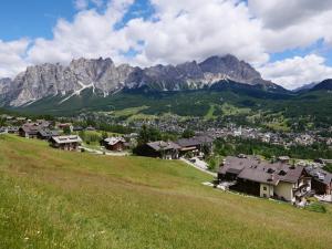 维戈迪卡多雷Casa della Rosa Dolomites experience的山中的一个村庄,有一片绿地