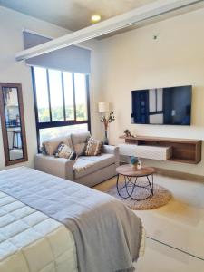 LuqueMonoambientes super equipados y premiun en Zuba 4的一间卧室配有一张床、一张沙发和一台电视。
