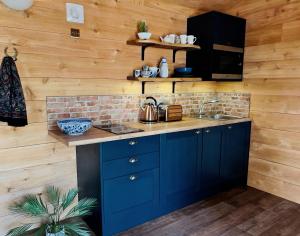 内瑟·斯托威TVF Stable Suites的厨房配有蓝色橱柜和水槽