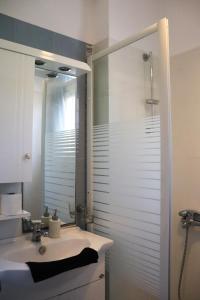 圣彼得罗斯Ateni House的浴室配有盥洗盆和带镜子的淋浴