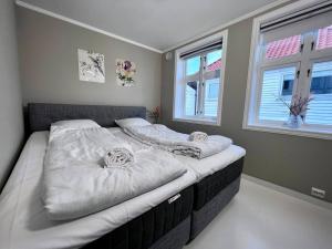斯塔万格The Green Door H2的卧室内的一张大床,配有两个枕头