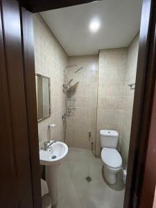 格里戈莱蒂IPPA S PLAZA的一间带卫生间和水槽的浴室