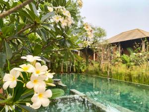 素可泰BaanSuk Sukhothai Resort的一座房子前的白色花池