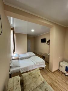 格里戈莱蒂IPPA S PLAZA的一间卧室设有三张床和一台平面电视