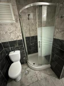 Pelitliفندق الصقر الذهبي的带淋浴、卫生间和盥洗盆的浴室