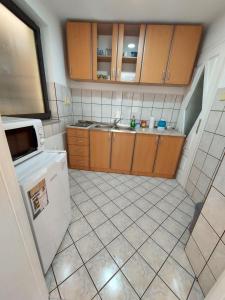 亚伊采Apartman Trupsi的一间带水槽和洗碗机的小厨房