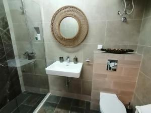赫尔采格诺维Apartments Villa Kukoljac的一间带水槽、镜子和卫生间的浴室