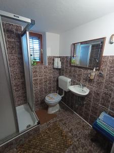 GolnikKralj Matjaž - the green escape under Alps的浴室配有卫生间、盥洗盆和淋浴。