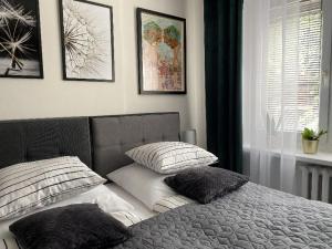 比托姆Apartament Schodami do Nieba的卧室内的一张带两个枕头的床