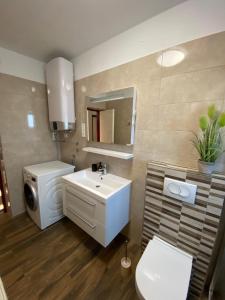 诺维·维诺多尔斯基Apartment Bigi的浴室配有白色水槽和卫生间。
