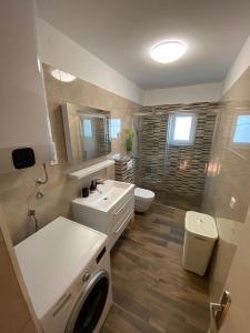 诺维·维诺多尔斯基Apartment Bigi的一间带水槽和洗衣机的浴室