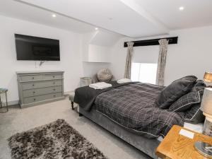 卡纳芬Capel Mawr, Basement 19的一间卧室配有一张床,墙上配有电视
