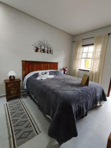 蒂拉登特斯Pouso Casa da Vovó的卧室配有一张床,上面放着一只猫