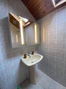 Saint-Silvain-sous-ToulxGîte de la Borderie的一间带水槽和镜子的浴室