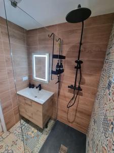 米卢斯Les Alliés的一间带水槽和玻璃淋浴的浴室