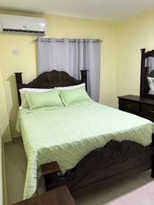巴拉奥纳省圣克鲁斯Hotel La Playa的一间卧室配有一张带绿色床单的大床