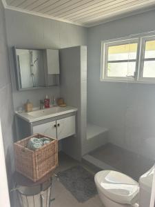 奥拉涅斯塔德Klip lagoon apartsments的浴室配有卫生间、盥洗盆和卫生间。