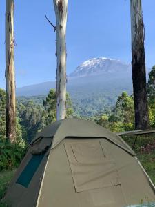 Kilimanjaro Mountain View Campsite的享有山脉景致的帐篷
