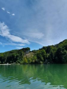 塞基兴Mobilheim / Chalet的享有山丘上树木繁茂的湖泊美景
