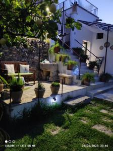 特里卡塞Corte Piri的一座房子楼梯上种有盆栽植物的庭院