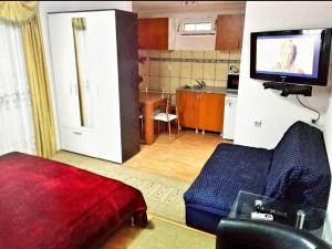 索科矿泉村Studio Isakovic的带沙发和电视的客厅以及厨房。