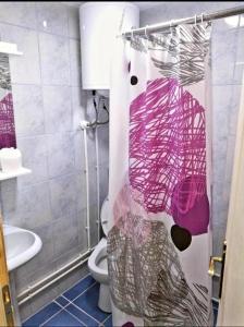 索科矿泉村Studio Isakovic的一间带卫生间和淋浴帘的浴室