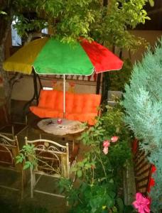 索科矿泉村Studio Isakovic的花园内的椅子和遮阳伞