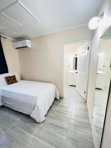 圣乔治SeaLaVie Apartments - Grenada的一间卧室配有一张床和镜子